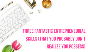 entrepreneurial skills